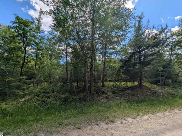 Bordeau Road, Standish, MI 48658
