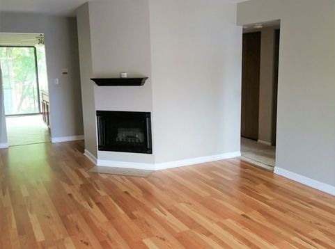 Main Photo