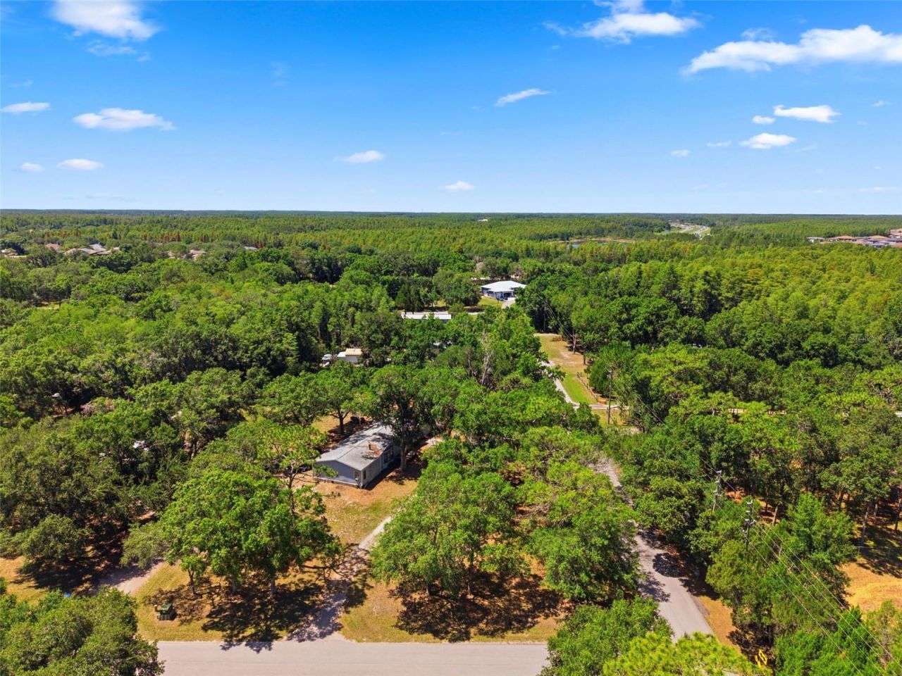 17214 Chinaberry Road , Lutz, FL 33558 Photo