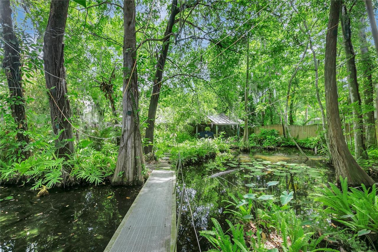 312 S Riverhills Drive , Tampa, FL 33617 Photo
