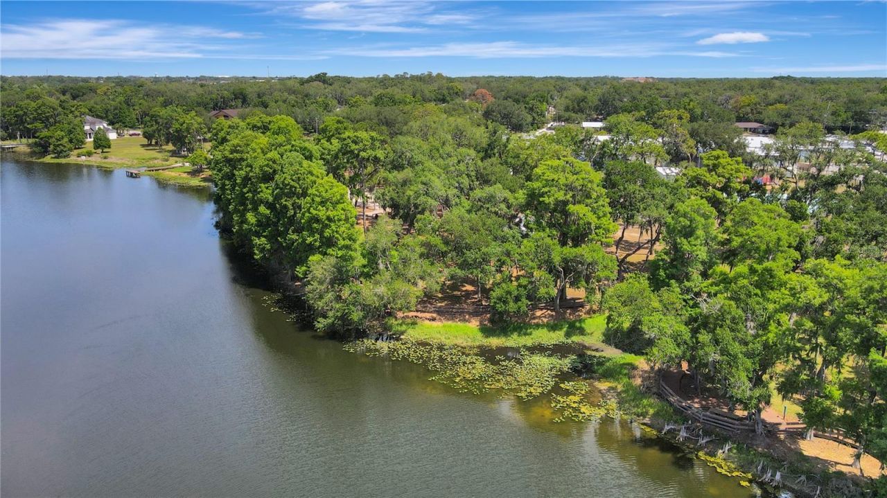 312 S Riverhills Drive , Tampa, FL 33617 Photo