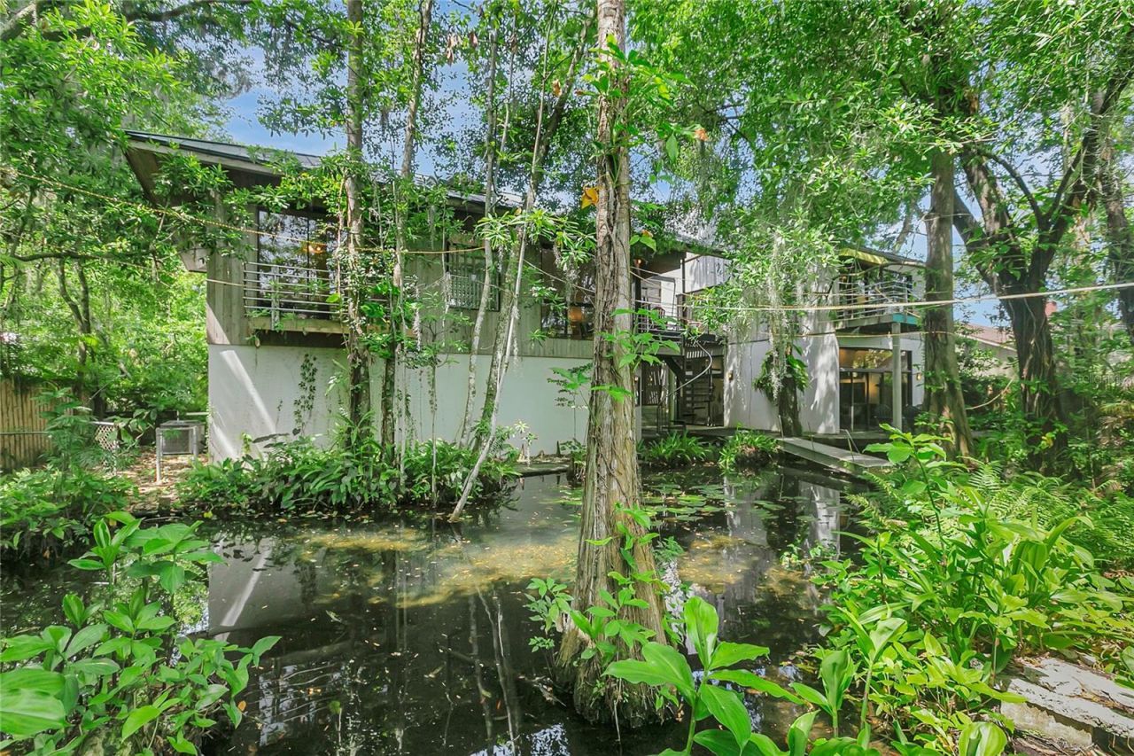 312 S Riverhills Drive , Tampa, FL 33617 Photo