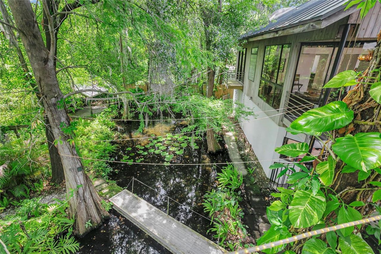 312 S Riverhills Drive , Tampa, FL 33617 Photo