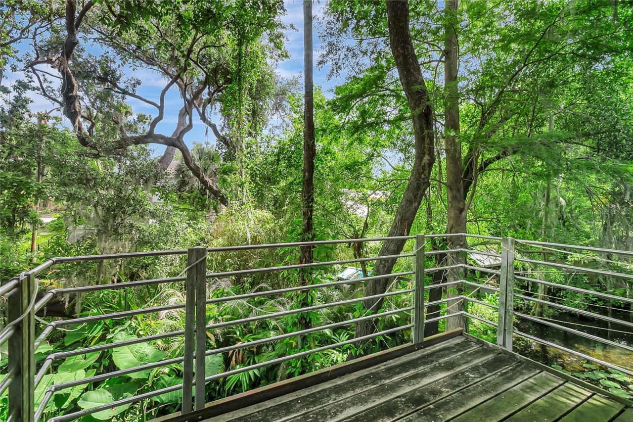 312 S Riverhills Drive , Tampa, FL 33617 Photo