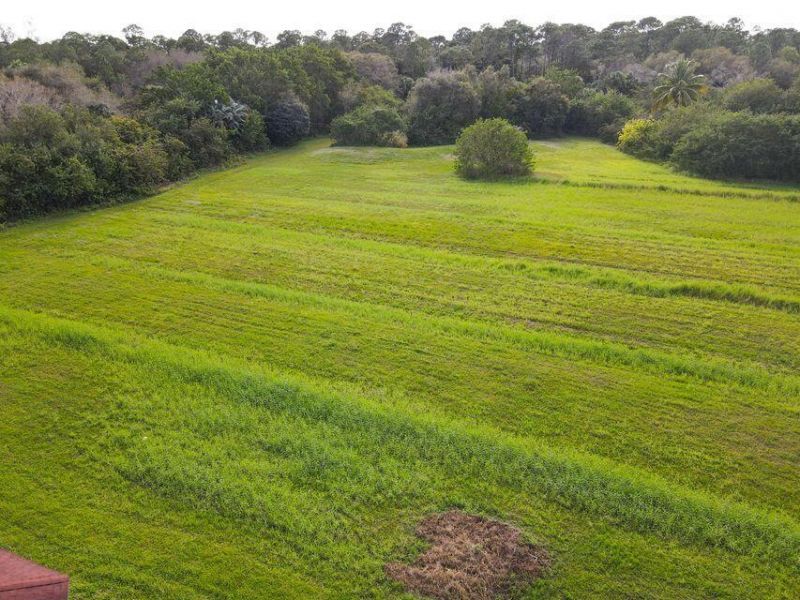 14094 43rd Road N, Loxahatchee Groves, FL 33470 Photo