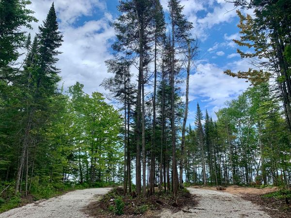 9016 N Whitefish Point RD, Paradise, MI 49768