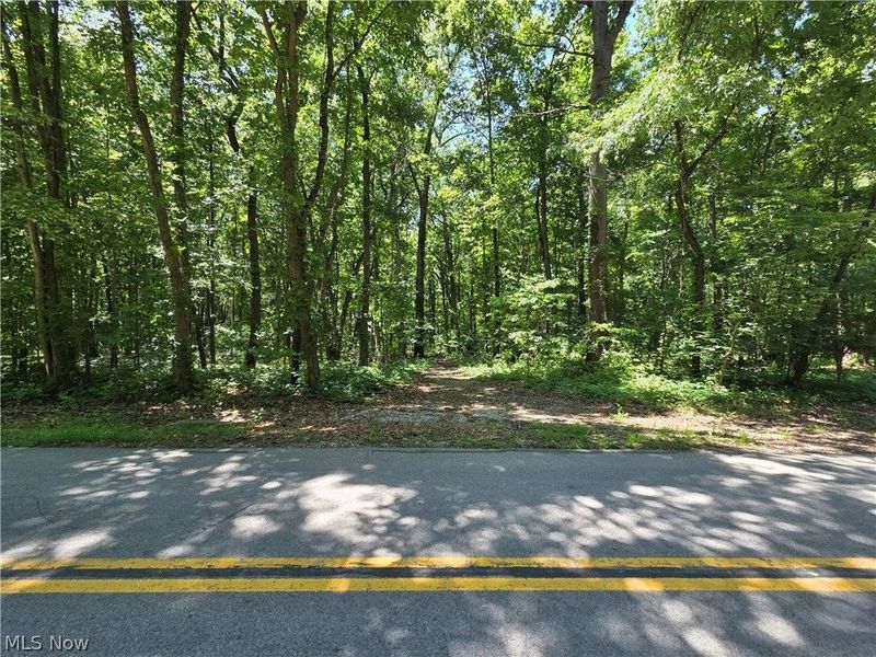 V/L - Poorman Road, Vermilion, OH 44089 Photo 3