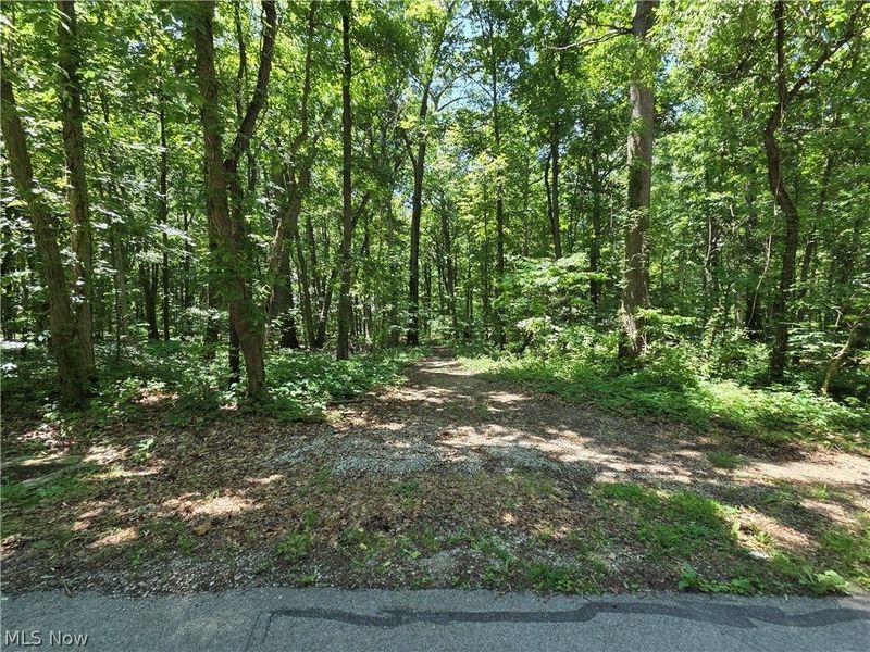 V/L - Poorman Road, Vermilion, OH 44089 Photo 4