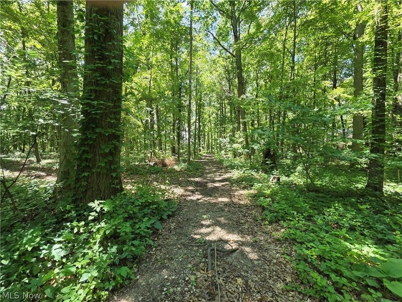 V/L - Poorman Road, Vermilion, OH 44089 Photo 5