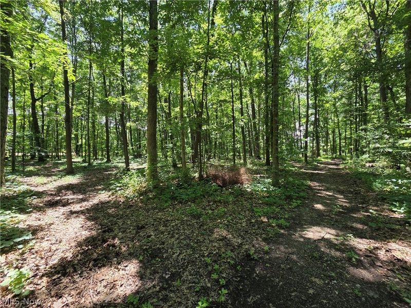 V/L - Poorman Road, Vermilion, OH 44089 Photo 6