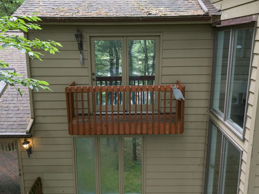 Property Image 107