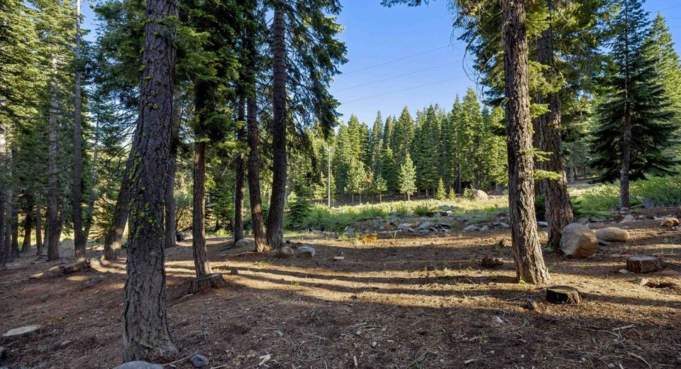 13531 Weisshorn Avenue, Truckee, CA 96161 Photo