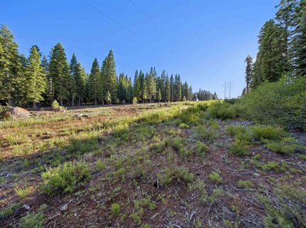 13531 Weisshorn Avenue, Truckee, CA 96161 Photo