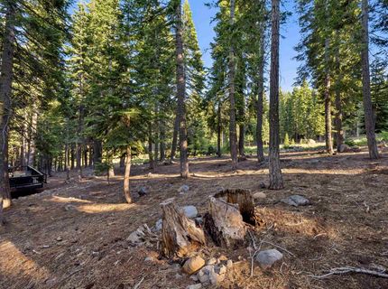 13531 Weisshorn Avenue, Truckee, CA 96161 Photo