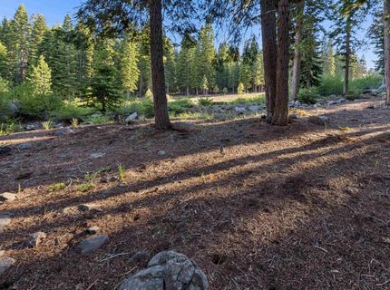 13531 Weisshorn Avenue, Truckee, CA 96161 Photo