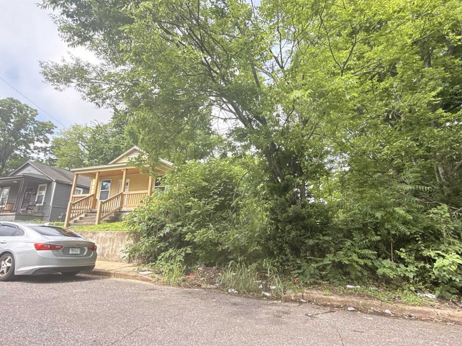 Property Image 19