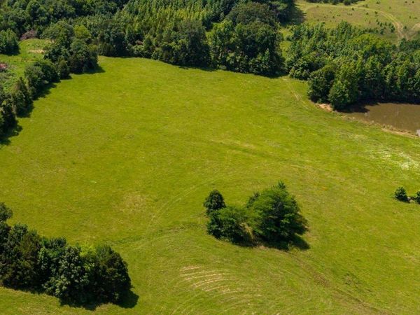 000 Fredrick's Lick Road , Mt. Vernon, AR 72111