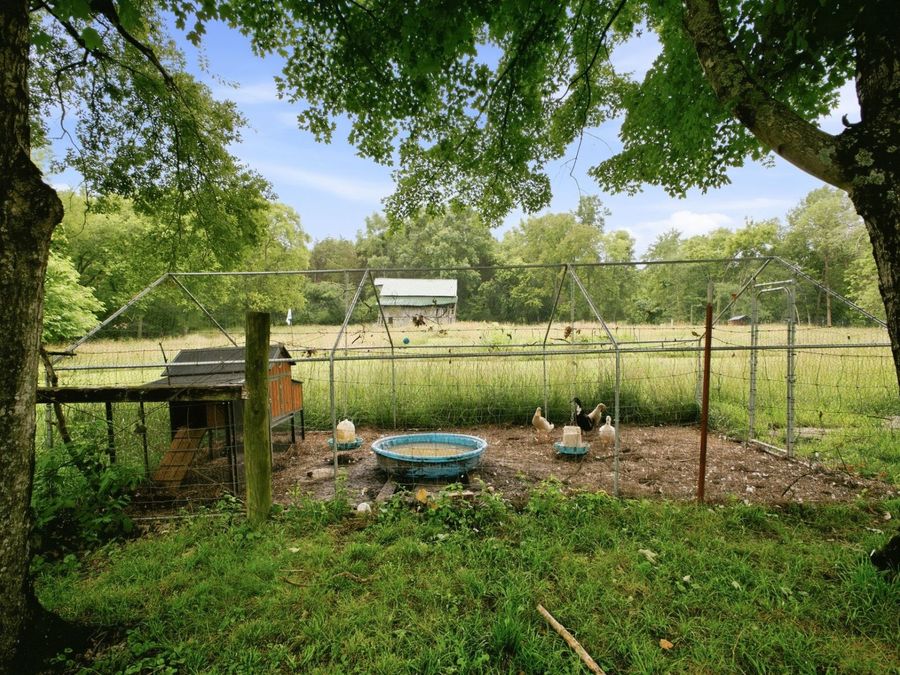 Property Image 42