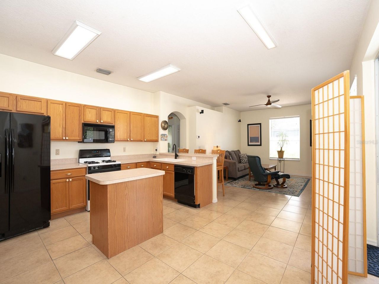 10501 Ashley Oaks Drive , Riverview, FL 33578 Photo
