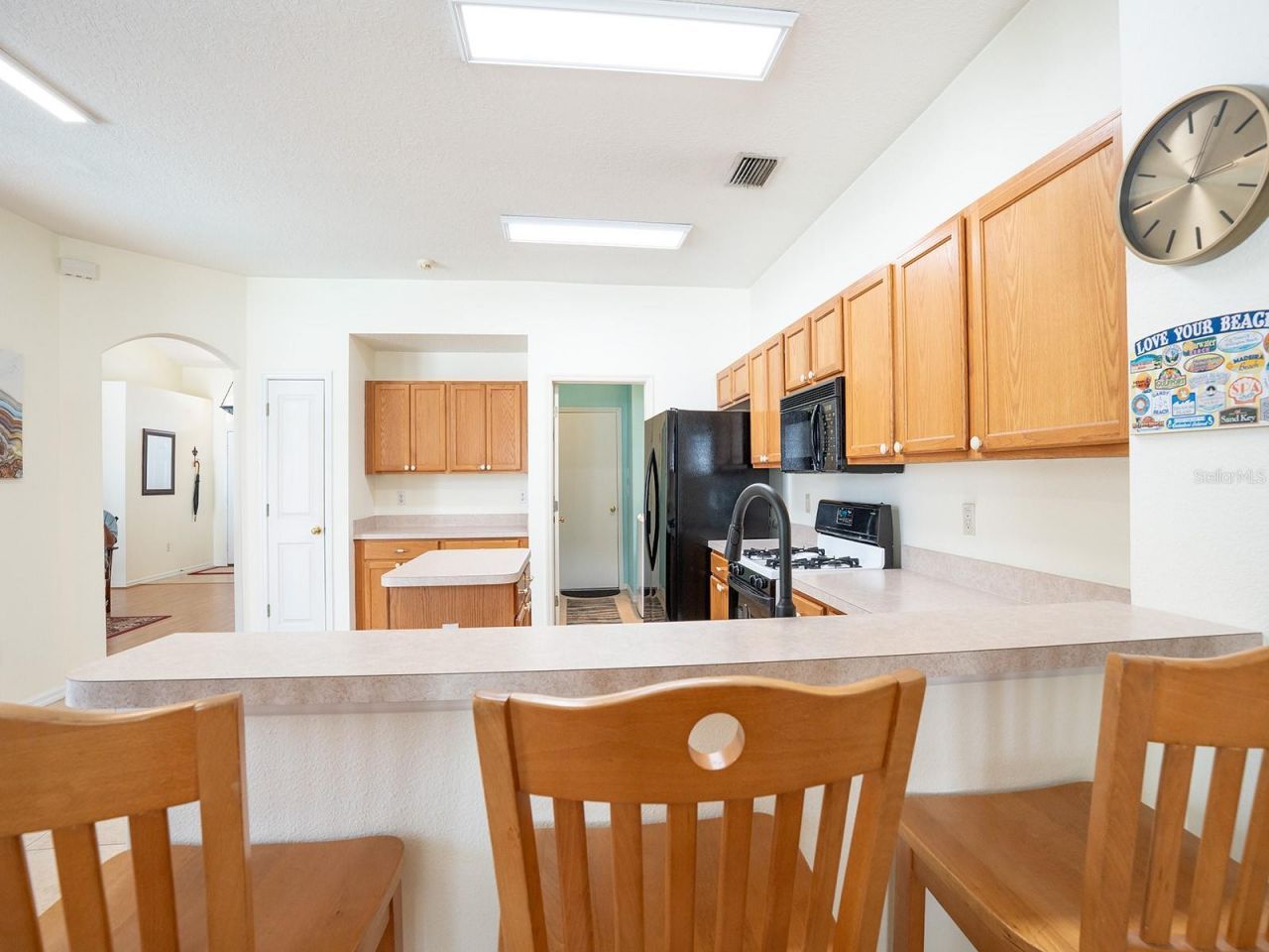 10501 Ashley Oaks Drive , Riverview, FL 33578 Photo