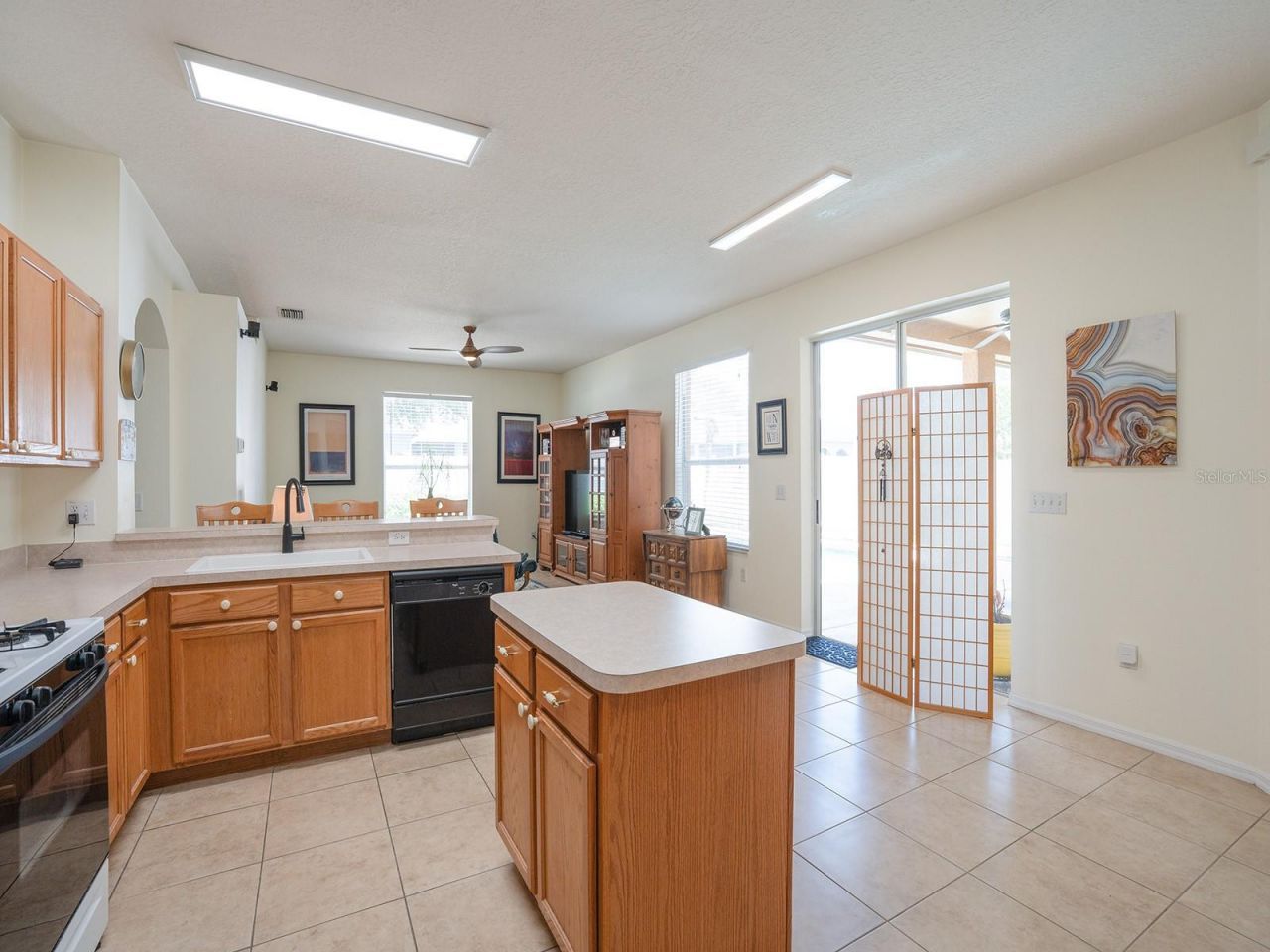 10501 Ashley Oaks Drive , Riverview, FL 33578 Photo