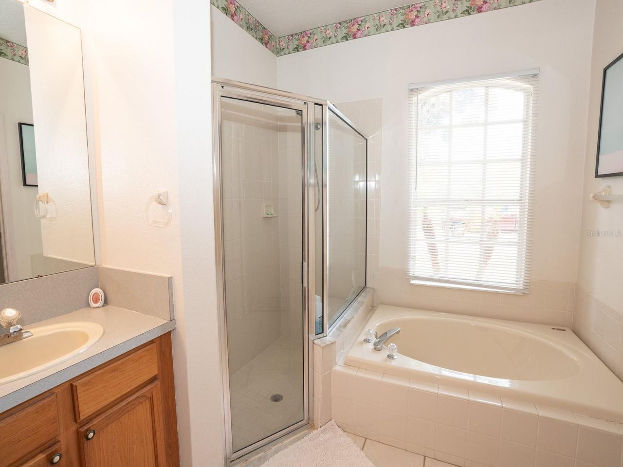 10501 Ashley Oaks Drive , Riverview, FL 33578 Photo