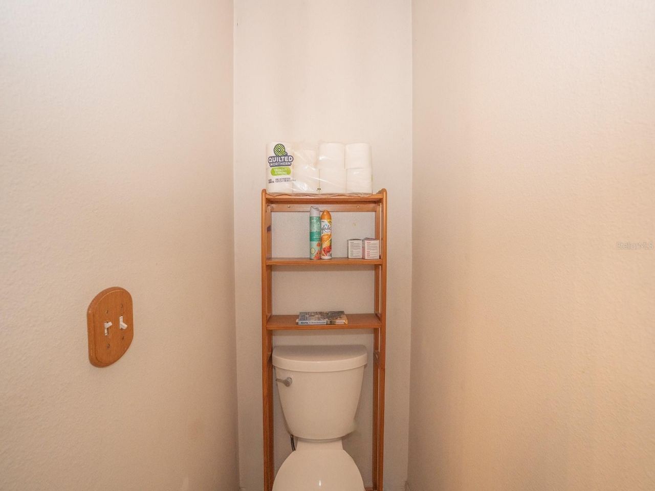 10501 Ashley Oaks Drive , Riverview, FL 33578 Photo