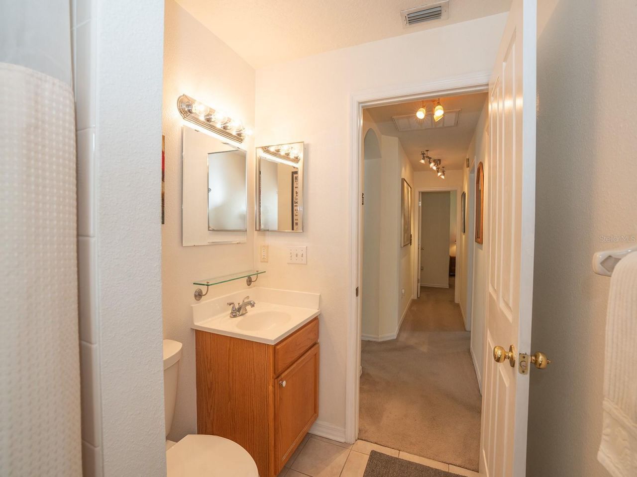 10501 Ashley Oaks Drive , Riverview, FL 33578 Photo