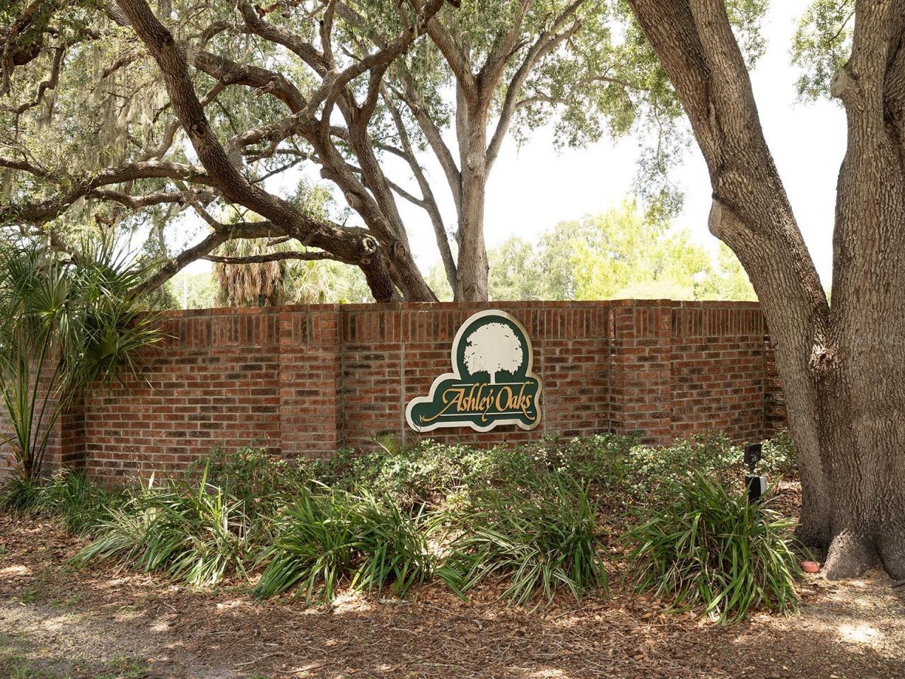 10501 Ashley Oaks Drive , Riverview, FL 33578 Photo