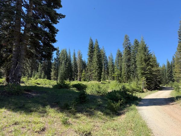 18 Blue Rock Trail, Dorrington, CA 95223