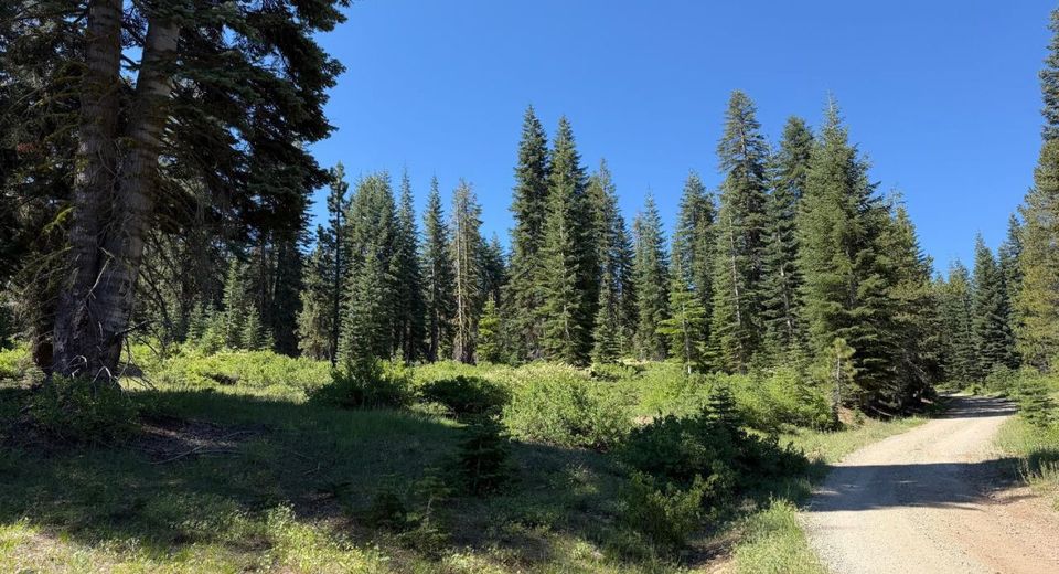 18 Blue Rock Trail, Dorrington, CA 95223 Photo