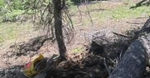 18 Blue Rock Trail, Dorrington, CA 95223 Photo