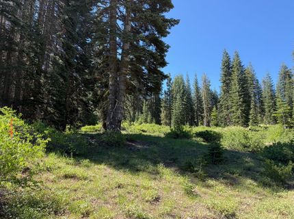 18 Blue Rock Trail, Dorrington, CA 95223 Photo