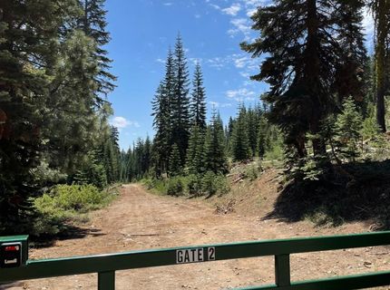 18 Blue Rock Trail, Dorrington, CA 95223 Photo
