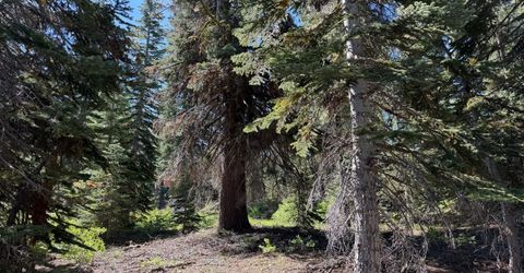 18 Blue Rock Trail, Dorrington, CA 95223 Photo