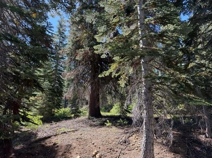 18 Blue Rock Trail, Dorrington, CA 95223 Photo