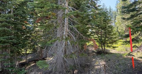 18 Blue Rock Trail, Dorrington, CA 95223 Photo