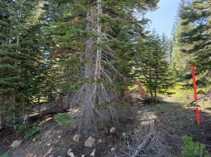 18 Blue Rock Trail, Dorrington, CA 95223 Photo