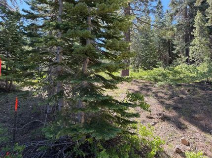 18 Blue Rock Trail, Dorrington, CA 95223 Photo