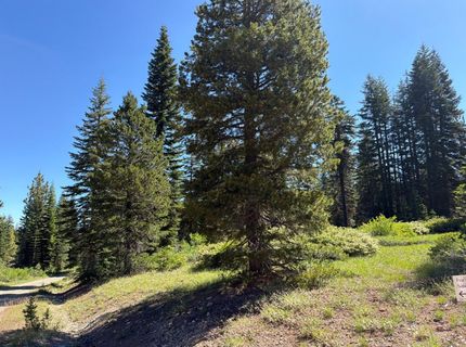 18 Blue Rock Trail, Dorrington, CA 95223 Photo