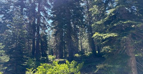 18 Blue Rock Trail, Dorrington, CA 95223 Photo