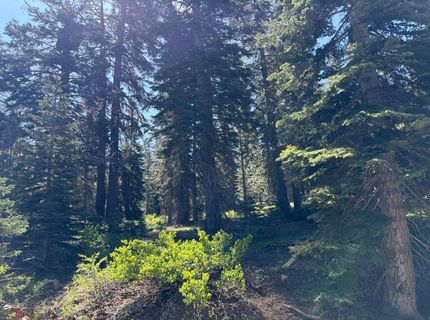18 Blue Rock Trail, Dorrington, CA 95223 Photo