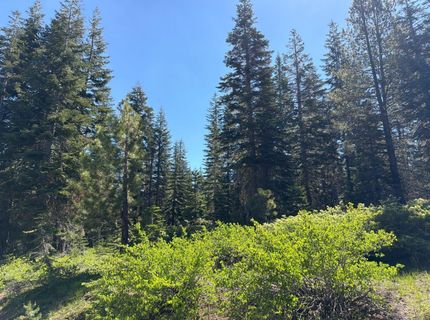 18 Blue Rock Trail, Dorrington, CA 95223 Photo