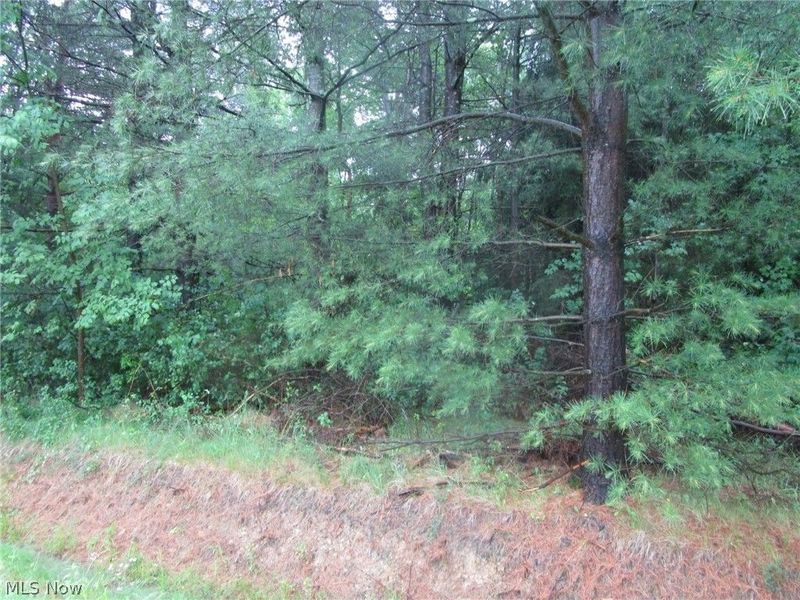 VL Callender Road, Rome, OH 44085 Photo 5