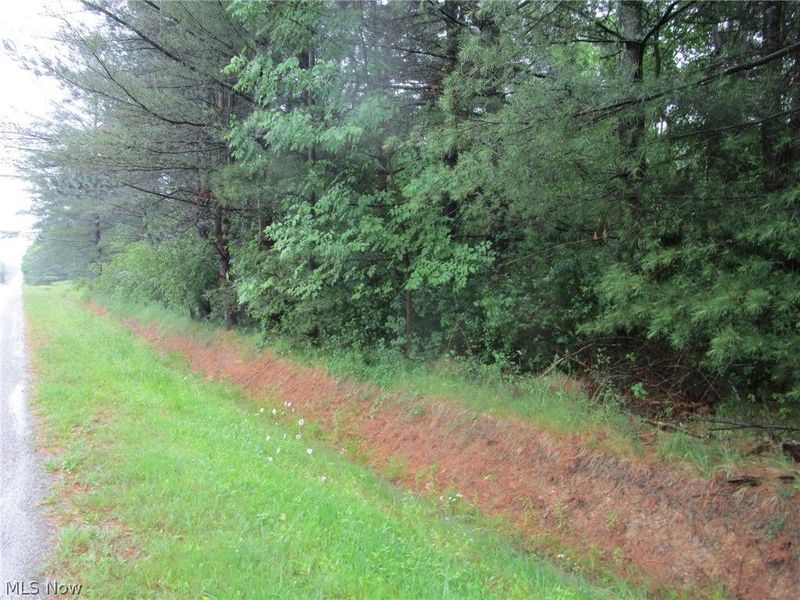 VL Callender Road, Rome, OH 44085 Photo 6