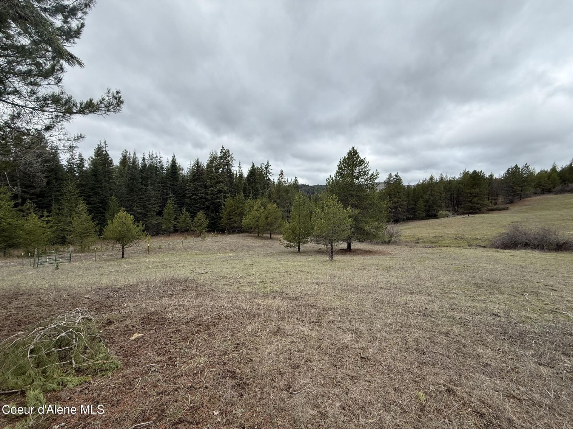 Nka Owl Creek Ln, Saint Maries, ID 83861 Main Photo
