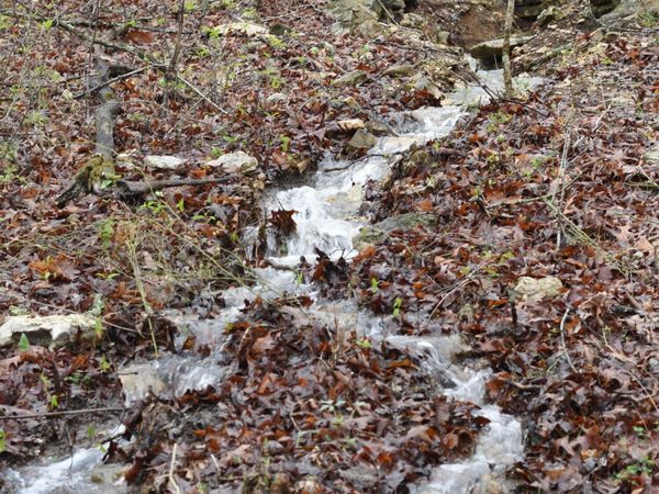 000 Highway Y , Elk Creek, MO 65464