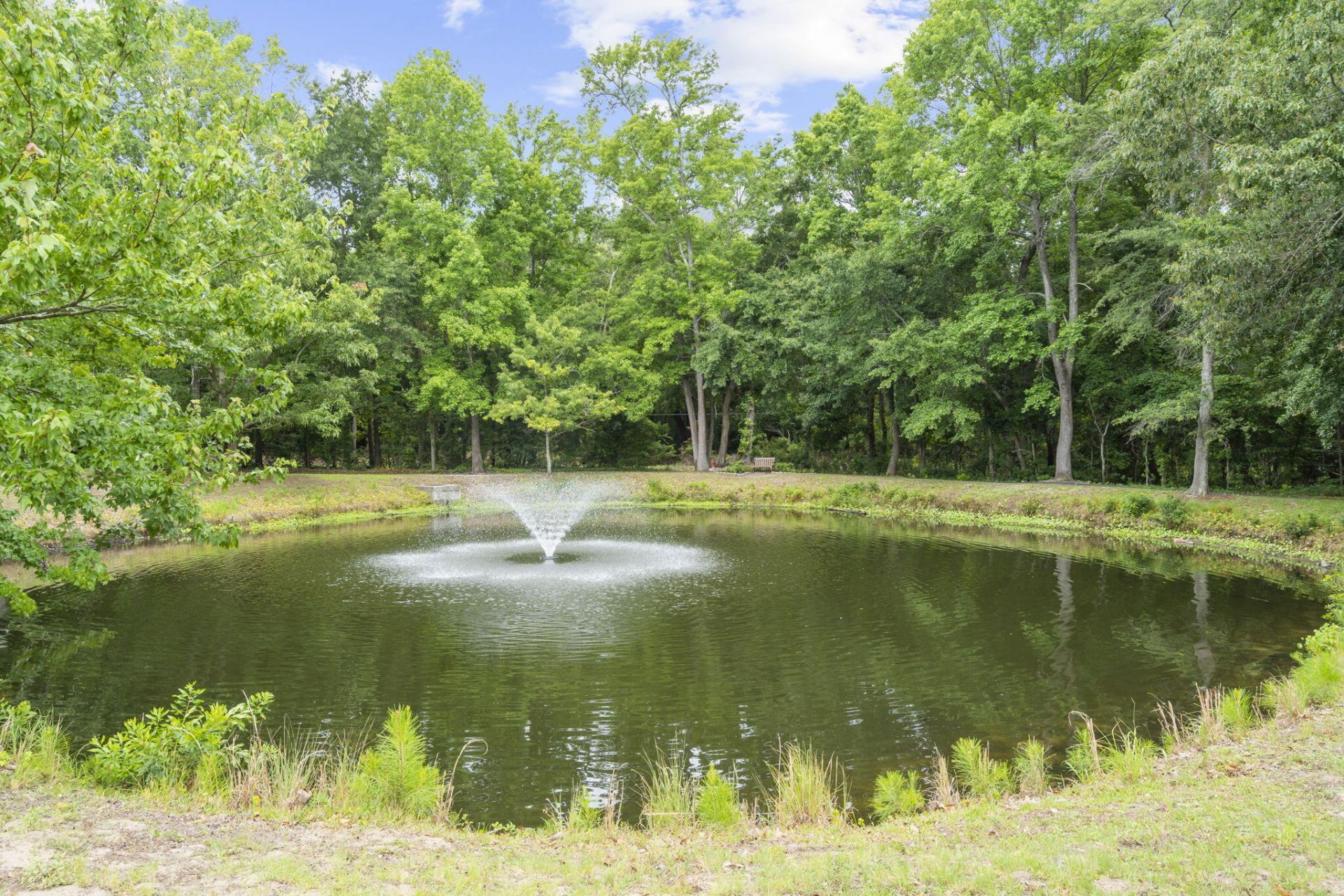 1363 Pinnacle Lane Photo 28