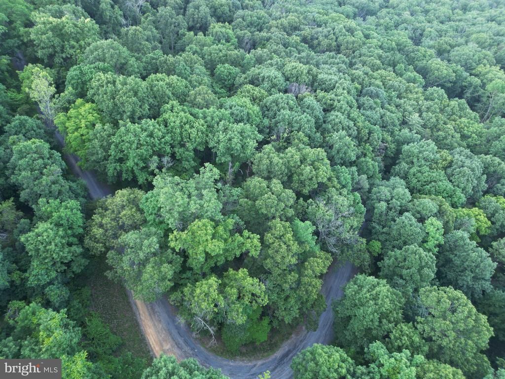 Tbd Rolly Rd , Mount Jackson, VA 22842 Main Photo