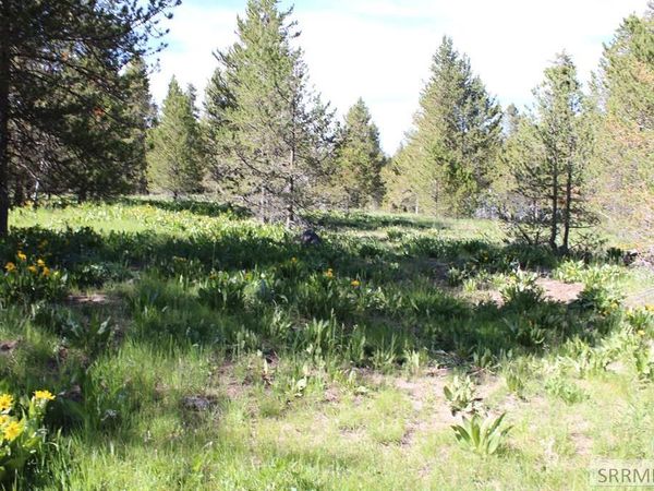 0000 N Buffalo Dr, ISLAND PARK, ID 83429